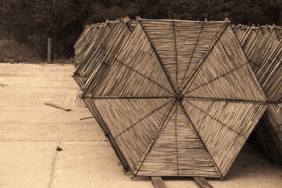 Dorota Rucińska - Umbrellas. Series 2. 