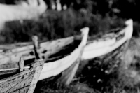 Old wooden boats. Series - Dorota Rucińska