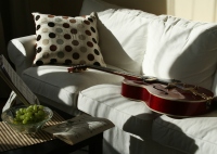 Favorite Gibson. Guitar. Still life. - Dorota Rucińska